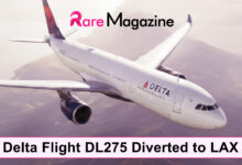 delta flight dl275 diverted lax