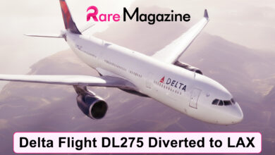 delta flight dl275 diverted lax