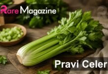 Pravi Celer