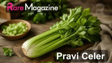 Pravi Celer