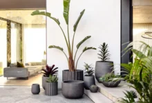 Sleek Outdoor Planters