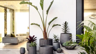Sleek Outdoor Planters