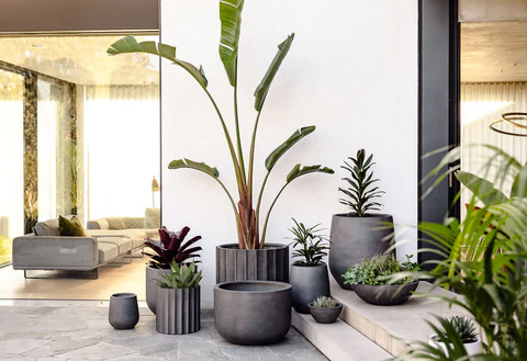 Sleek Outdoor Planters
