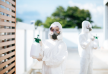 How Do You Know When DIY Pest Control Just Isn't Cutting It?