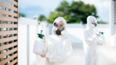 How Do You Know When DIY Pest Control Just Isn't Cutting It?