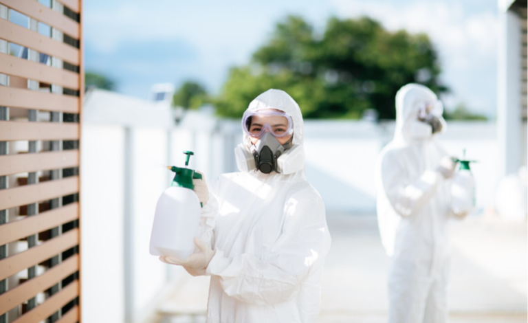 How Do You Know When DIY Pest Control Just Isn't Cutting It?