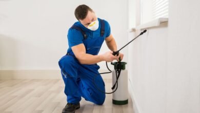 How Affordable Pest Control Services Can Save You From Costly Repairs Through Routine Inspections