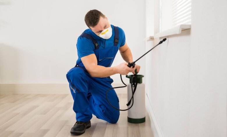 How Affordable Pest Control Services Can Save You From Costly Repairs Through Routine Inspections