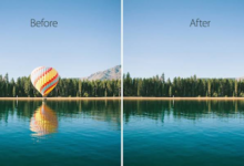 Remove Fence From Photo